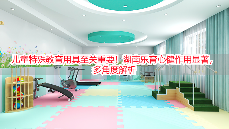 儿童特殊教育用具至关重要！湖南乐育心健作用显著，多角度解析