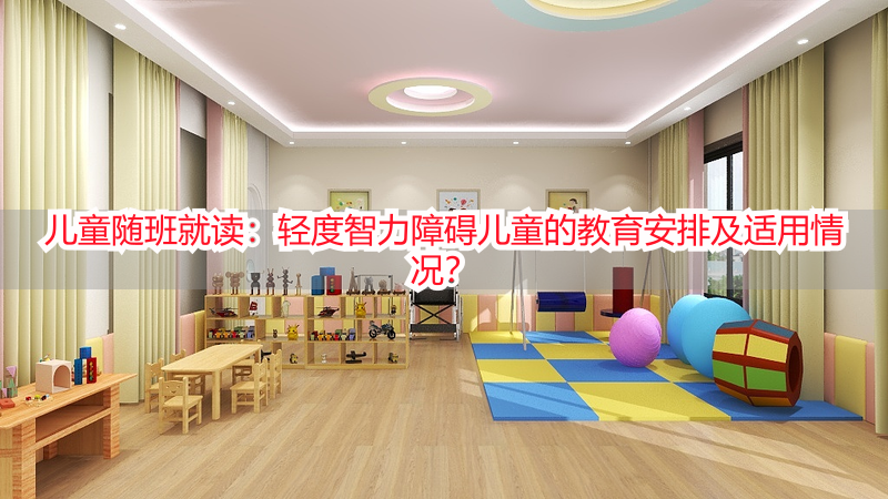 儿童随班就读：轻度智力障碍儿童的教育安排及适用情况？
