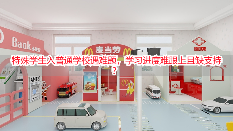 特殊学生入普通学校遇难题，学习进度难跟上且缺支持？