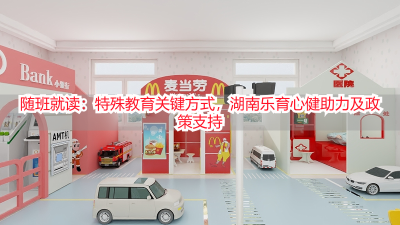 随班就读：特殊教育关键方式，湖南乐育心健助力及政策支持