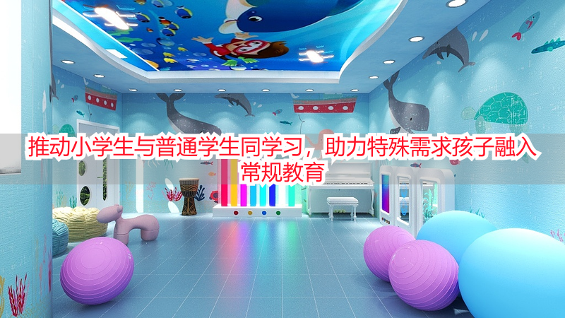 推动小学生与普通学生同学习，助力特殊需求孩子融入常规教育