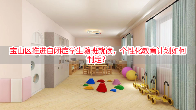 宝山区推进自闭症学生随班就读，个性化教育计划如何制定？