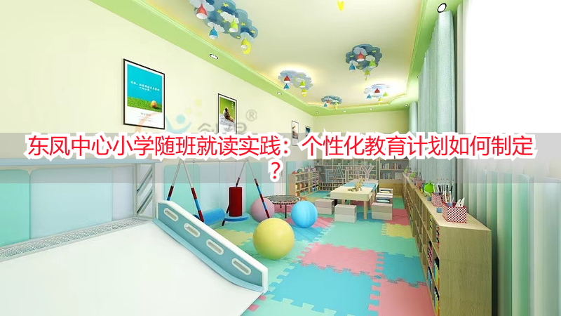 东凤中心小学随班就读实践：个性化教育计划如何制定？