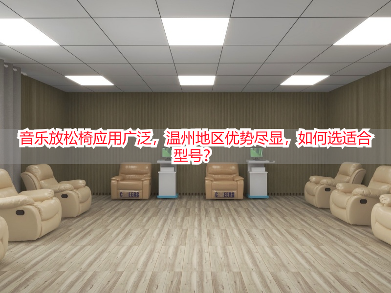 音乐放松椅应用广泛，温州地区优势尽显，如何选适合型号？