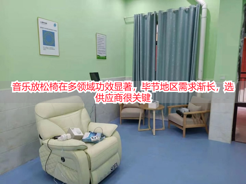 音乐放松椅在多领域功效显著，毕节地区需求渐长，选供应商很关键