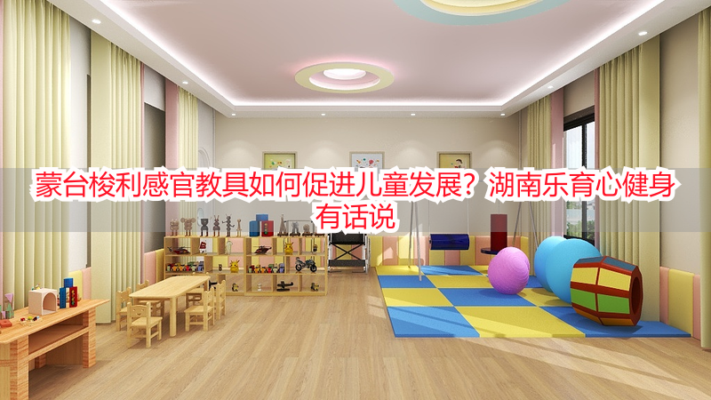 蒙台梭利感官教具如何促进儿童发展？湖南乐育心健身有话说