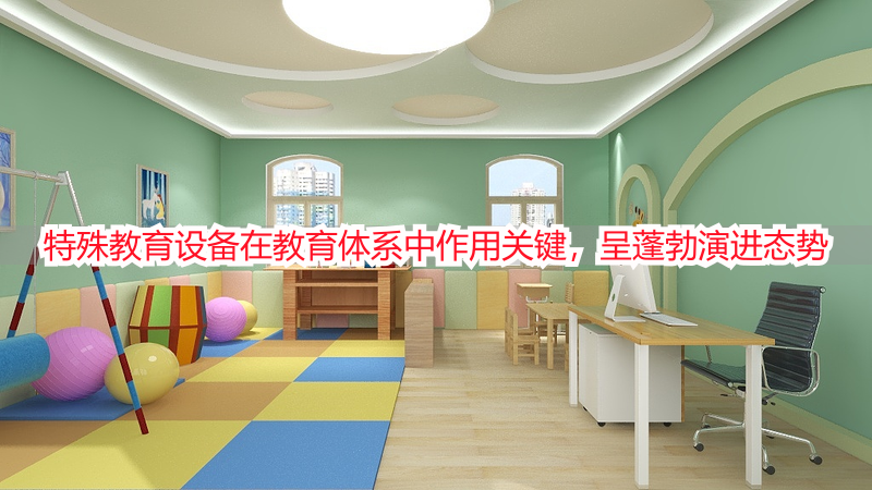 特殊教育设备在教育体系中作用关键，呈蓬勃演进态势
