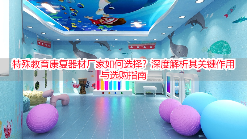 特殊教育康复器材厂家如何选择？深度解析其关键作用与选购指南
