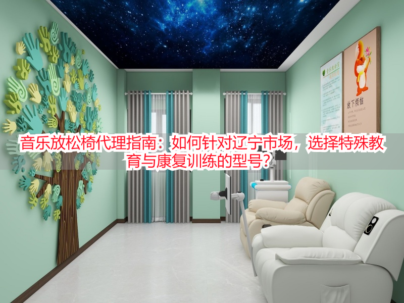 音乐放松椅代理指南：如何针对辽宁市场，选择特殊教育与康复训练的型号？