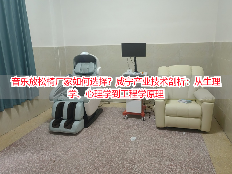 音乐放松椅厂家如何选择？咸宁产业技术剖析：从生理学、心理学到工程学原理